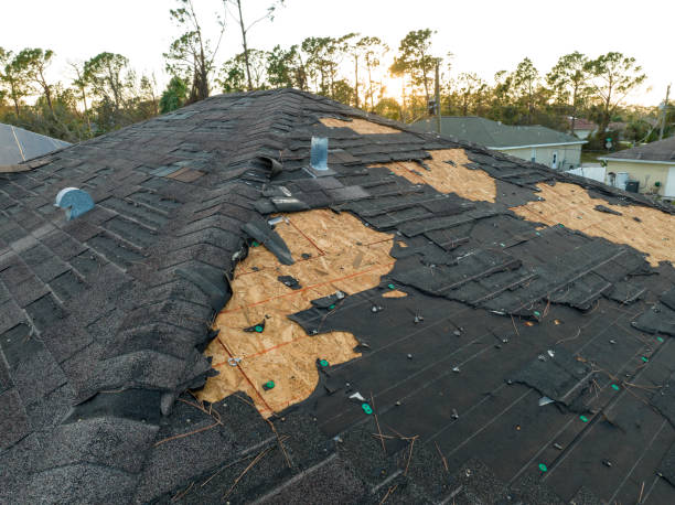 Roof Insulation in Tremonton, UT